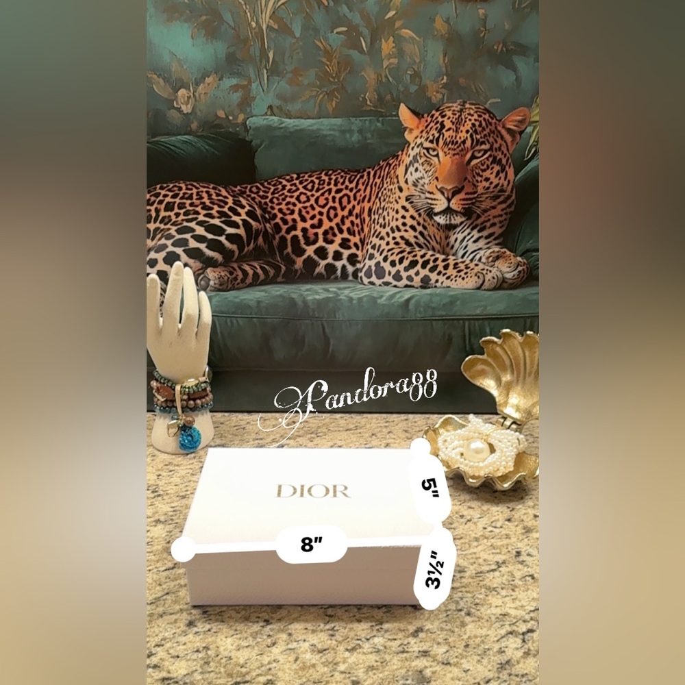Dior Empty Box - image 3